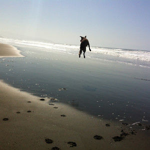 Meet your Posher, Gerald